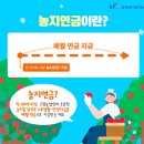 금도상회 네이버블로그