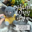 장거리 이사, 이 에너지로 다른 걸 했으면. 시골쥐 우당탕탕 상경기