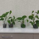난곡난향마을관리사회적협동조합