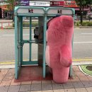 임신후기 기록 :: 31주~34주 임산부 일상