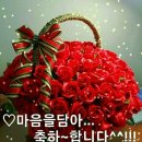 청안 이미지