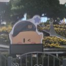 서울삼성비뇨기과 | 선천성 수신증 서울대병원 어린이 병원 진료후기