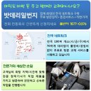 전국밧데리