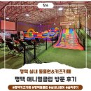 키즈클럽해맑은어린이집 | 평택 키즈카페 애니멀클럽 후기, 실내 동물원 먹이주기 체험까지