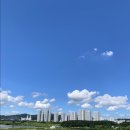 달콩과일 - 수원시 장안구 이목로 24-9 | 달콩과일