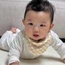 리틀초록별어린이집 | 아기턱받이 추천 앙팡토토 벨몽 스카프빕 어린이집 고리손수건