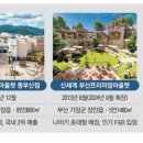 제일소비자유통 이미지