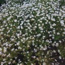 64행정사사무소 이미지