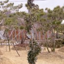 덕원농장 이미지