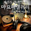 제주도 혼자 여행 숙소 동쪽 하도리 게하 마요피갤러리 카페마요피