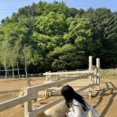 승아목장 이미지