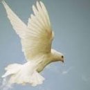 헌법에 보장된 종교선택 자유 이미지