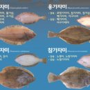 참가자미나라 이미지