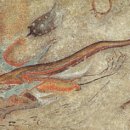 신선5호 이미지