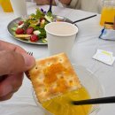 양성농장 | 치유농업사가 운영하는 치유농장 팜앤트리 견학 후기