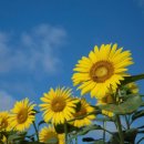 【9월 3주차 목장 나눔지】 먼저 하나님의 나라와 의를 구하는 삶! 이미지