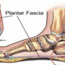 바디 컨피던스 이미지