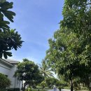 샤론목장 | 16개월 아기랑 다낭 3박 5일 대가족여행 [둘째날]