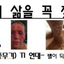 디자인보고 및 의견청취- 인권위원회 고정 선전물. ​ 이미지