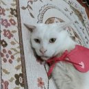 백마공원 화장실 이미지