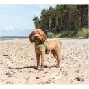 컴투펫 위탁보호센터 서울점 이미지