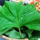 금다래산장