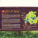 청산도봄 이미지