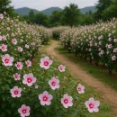 무공수훈자회 경기도지부하남시지회 이미지