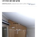 너무 추워서 중문을 설치했다는 금손 이미지