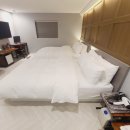 브라운도트호텔 이미지