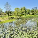 마곡식물원 이미지