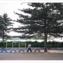 정금초등학교 이미지