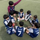 상지초 | (대전 노은/지족/반석 축구교실)실력+인성 함께 키우는 엘조이 풋볼 아카데미, 유성구청장배 현장 스케치