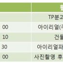 아이리얼
