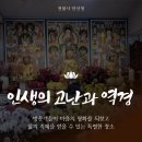 안선생
