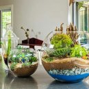 테라리움 이미지