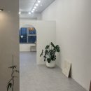 장곡동 속눈썹펌 장인의 손길 스튜디오 한땀 솔직후기(내돈내산)