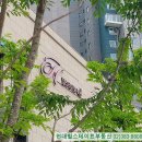 녹번동 100-25 이미지