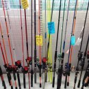 봉곡동203 이미지