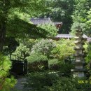 대자연횟집 - 군산시 미장서로 102 | 대자연횟집