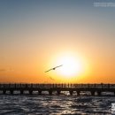 태양을향하여 이미지