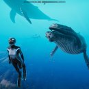 (주)에픽소프트 이미지