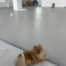 놀다올개 이미지