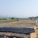 용전농장 이미지