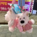 인형뽑기세상 이미지