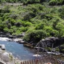 정자나무집민박 이미지