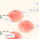 언니와의 사소하고 암묵적인 룰 하나 있음 이미지