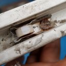 현대블루모터스 이미지