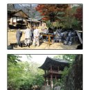파레스장