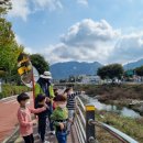 원천초병설유치원 이미지